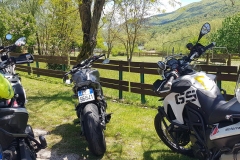 moto
