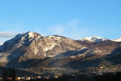 dalla finestra del Carlino
