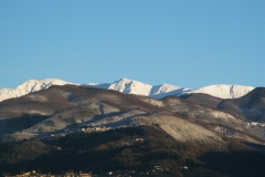 ancora dalla finestra del Carlino