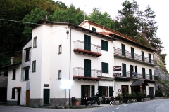 colla_02