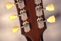 neck