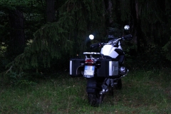 008